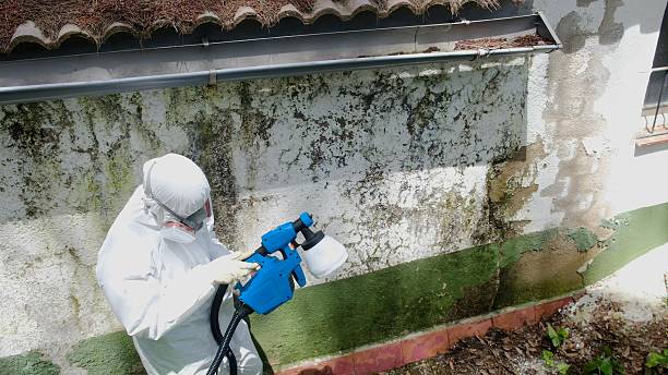 Trusted Mold Inspection service in Fannettsburg, PA - Cheap Mold Removal
